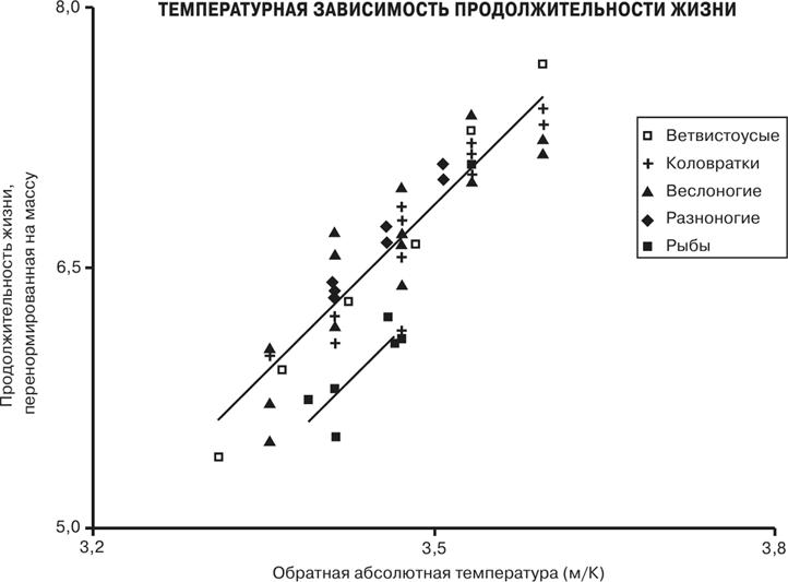 Масштаб. Универсальные законы роста, инноваций, устойчивости и темпов жизни организмов, городов, экономических систем и компаний