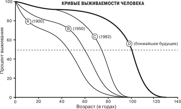 Масштаб. Универсальные законы роста, инноваций, устойчивости и темпов жизни организмов, городов, экономических систем и компаний