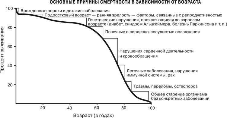 Масштаб. Универсальные законы роста, инноваций, устойчивости и темпов жизни организмов, городов, экономических систем и компаний