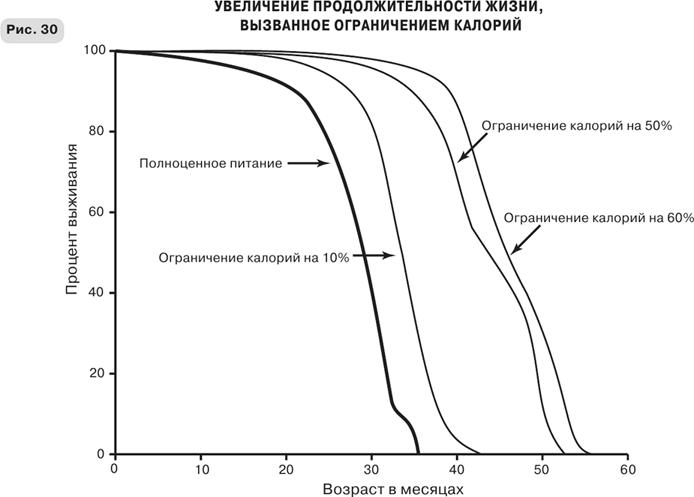 Масштаб. Универсальные законы роста, инноваций, устойчивости и темпов жизни организмов, городов, экономических систем и компаний