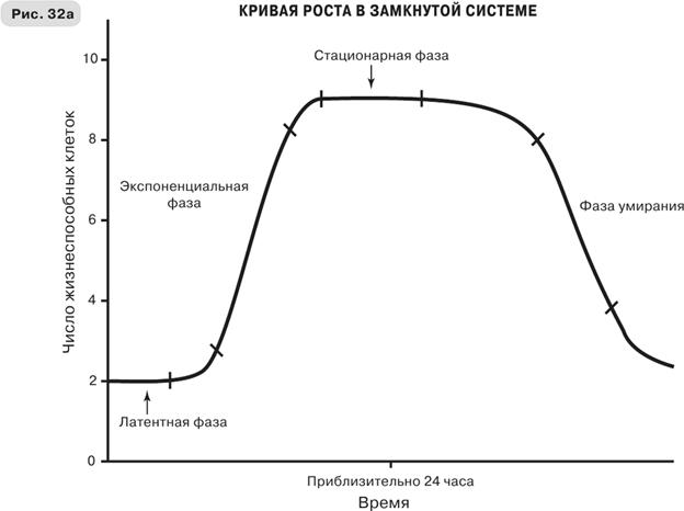 Масштаб. Универсальные законы роста, инноваций, устойчивости и темпов жизни организмов, городов, экономических систем и компаний