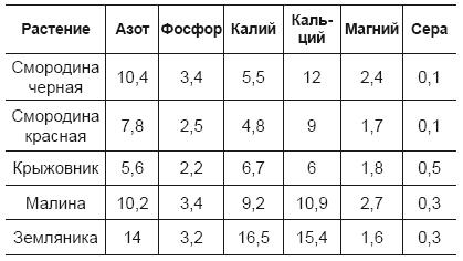 Огород и сад для умных лентяев. Урожай гарантирован!