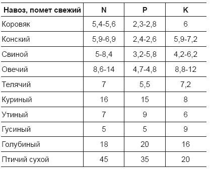 Огород и сад для умных лентяев. Урожай гарантирован!