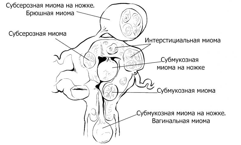 Добрая книга для будущей мамы. Позитивное руководство для тех, кто хочет ребенка