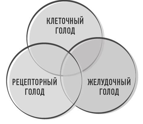 Тело знает лучше. Методика интуитивного питания для комфортного веса