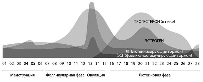 В своем ритме. Уникальный метод синхронизации с циклом, который изменит вашу жизнь за 28 дней