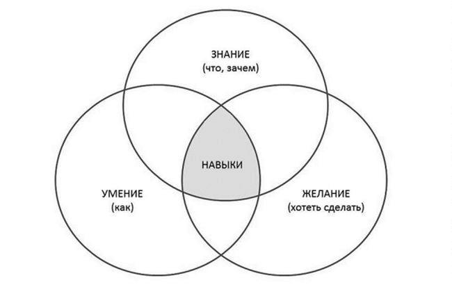 Князья и капуста. Эффективные бизнес-стратегии для менеджеров среднего звена