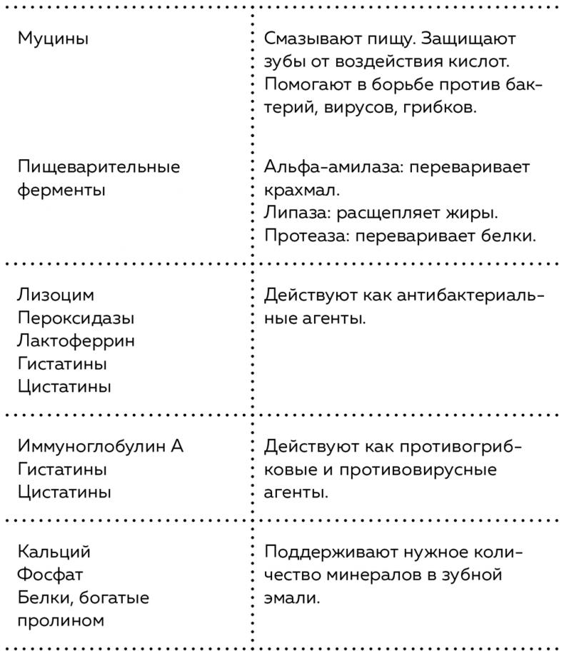 Пищеварение. Как у вас с ним? Все о тесной взаимосвязи между нашим здоровьем и тем, что, сколько и когда мы едим