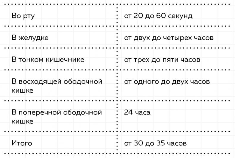 Пищеварение. Как у вас с ним? Все о тесной взаимосвязи между нашим здоровьем и тем, что, сколько и когда мы едим