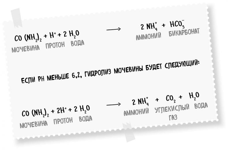 Пищеварение. Как у вас с ним? Все о тесной взаимосвязи между нашим здоровьем и тем, что, сколько и когда мы едим