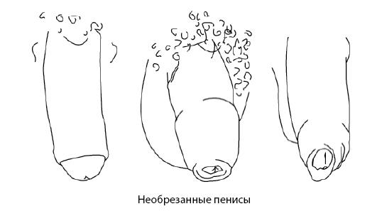 Он снова кончает. Устрой мужчине лучший секс, которого у него никогда не было