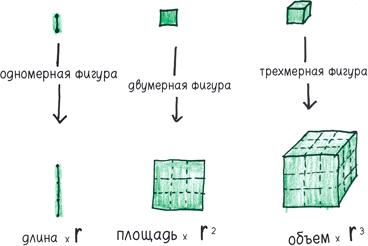 Математика с дурацкими рисунками. Идеи, которые формируют нашу реальность