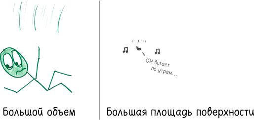 Математика с дурацкими рисунками. Идеи, которые формируют нашу реальность