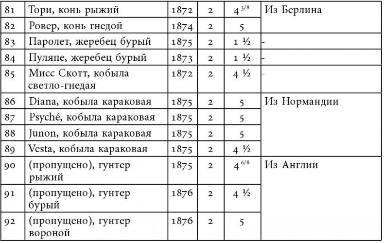 Русский всадник в парадигме власти