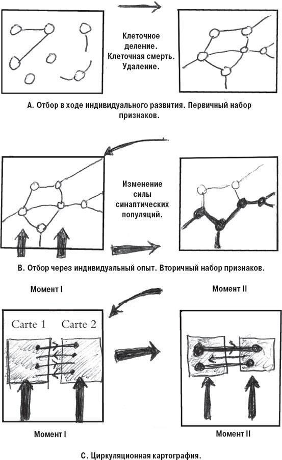 Наука о сне. Кто познает тайну сна – познает тайну мозга!